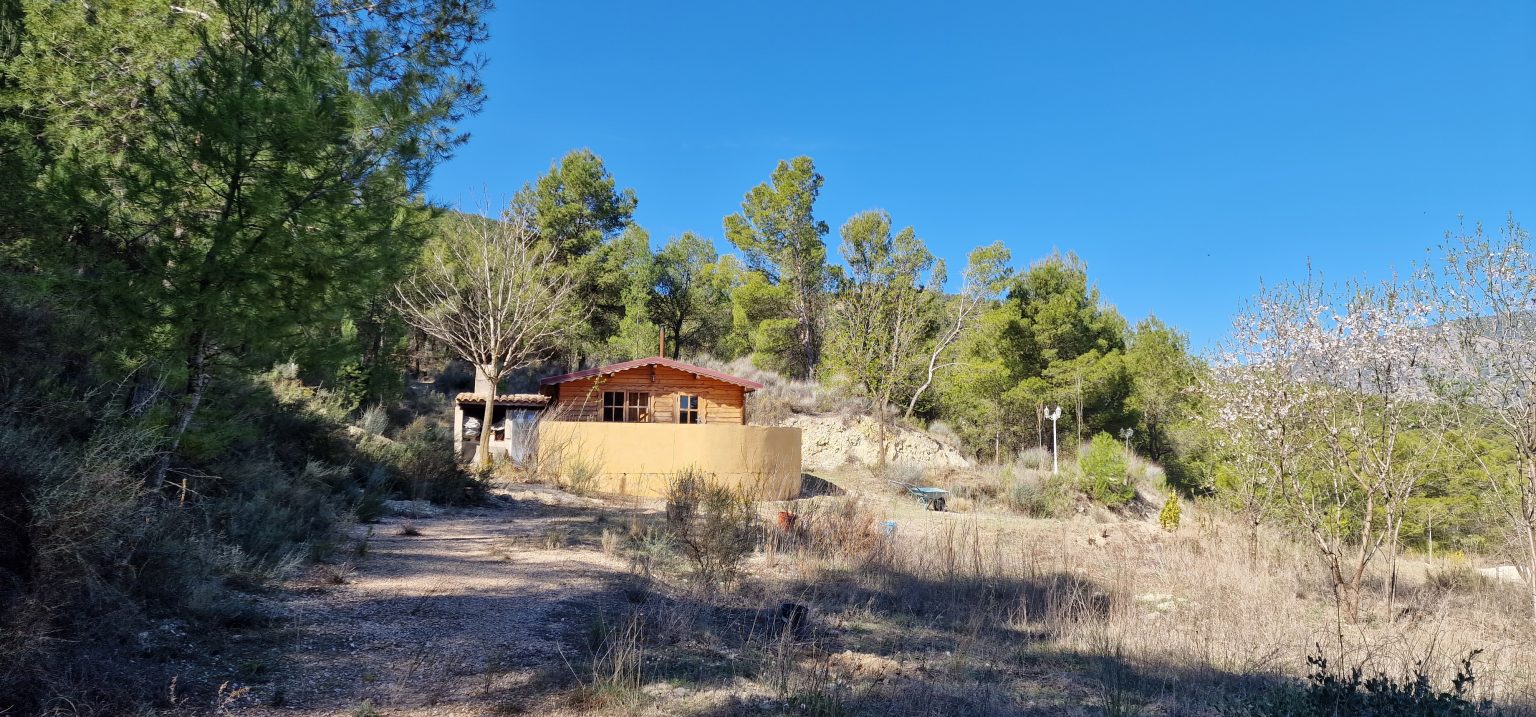 Caminos y casetas del santuario entre pinos