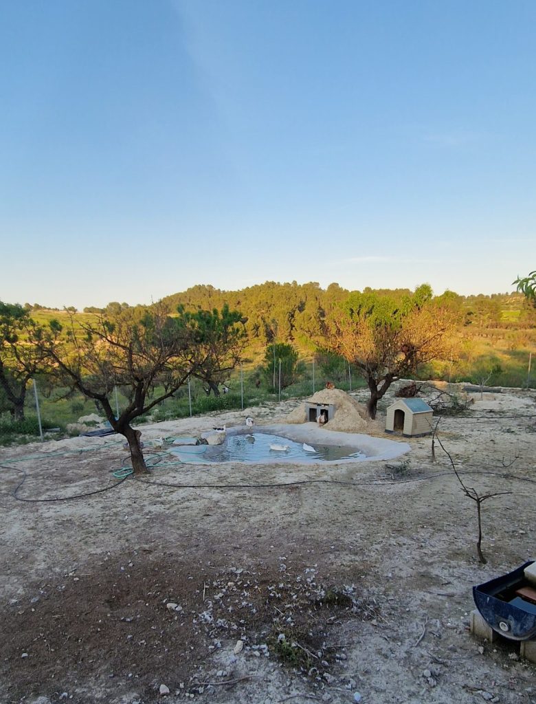 Zona de aves acuáticas, con el lago y los refugios
