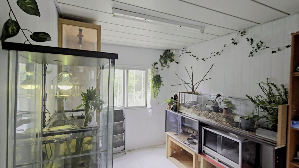 Sala climatizada con terrarios para los reptiles