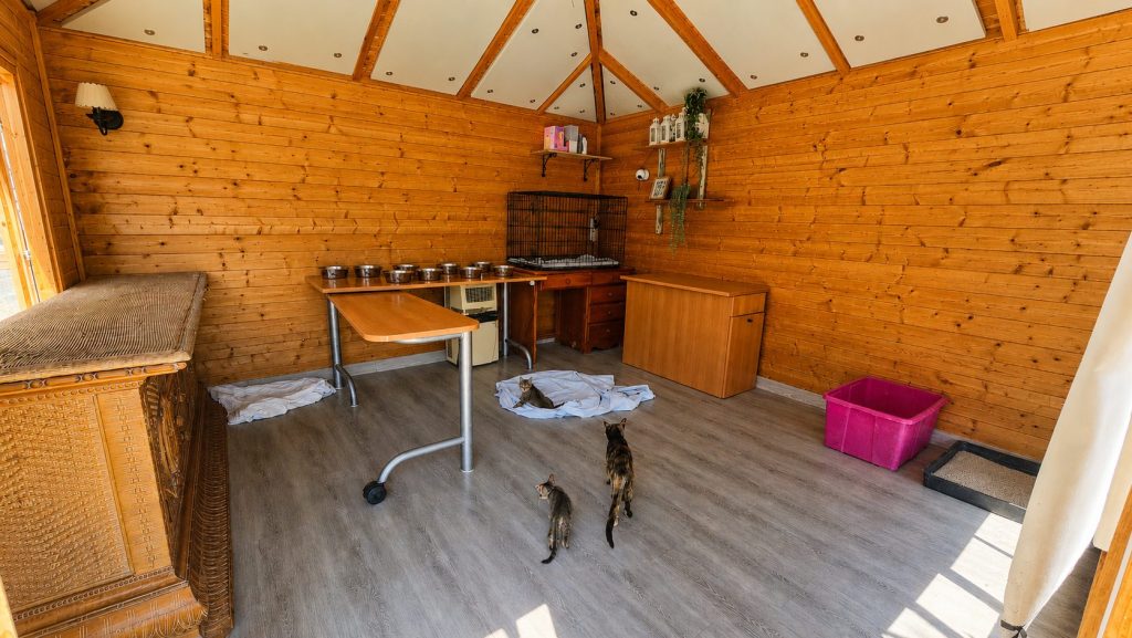Interior de la cabaña del espacio especial, con los comederos alineados y varios gatos