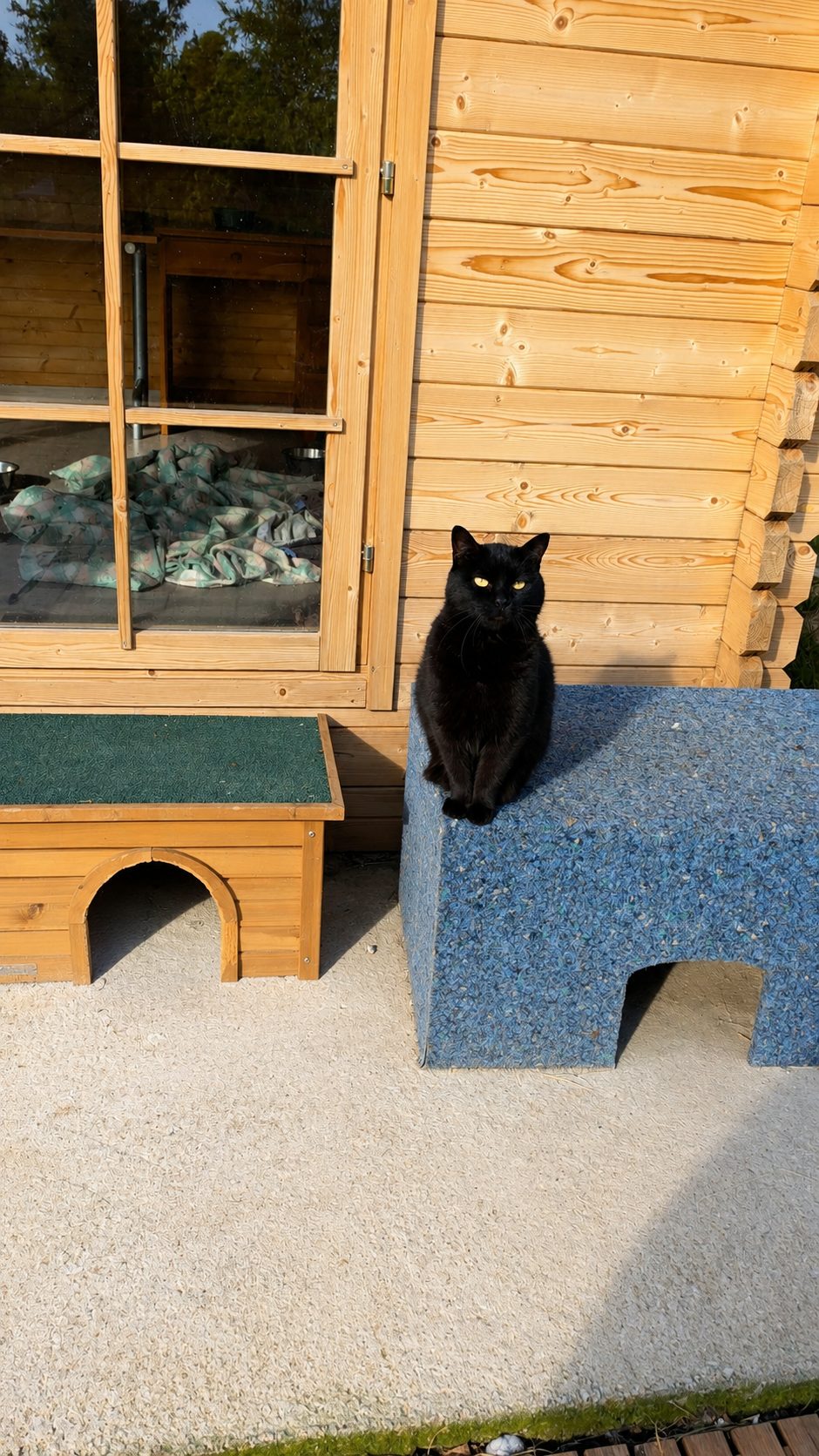 Patio exterior del espacio especial, con un gato negro sobre uno de los refugios