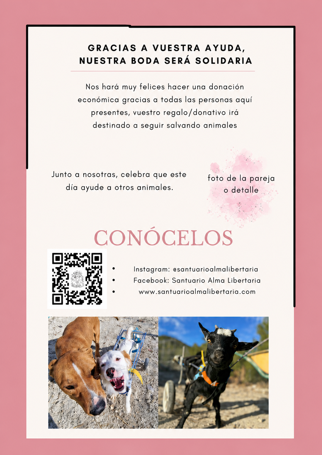 Reverso  QR y redes