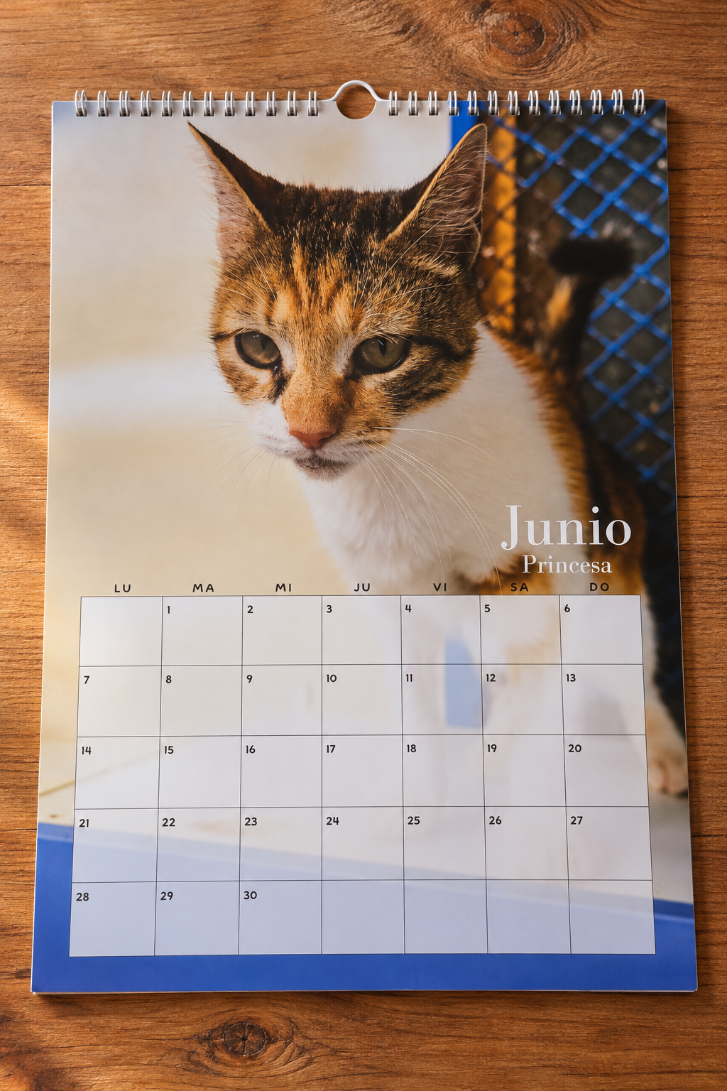 Calendario 2027 del Santuario 📅 - Imagen 2